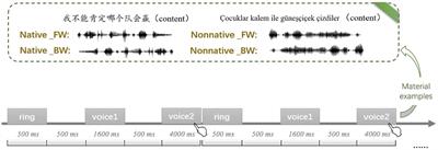 The mechanism of phonetic information in voice identity discrimination: a comparative study based on sighted and blind people